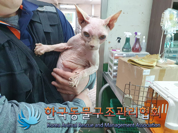 한국동물구조관리협회_411323202300176